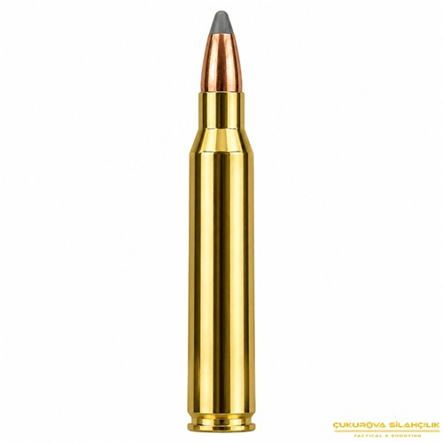 Sellier & Bellot 223 Rem. Sp. 55 Grn. 5209
