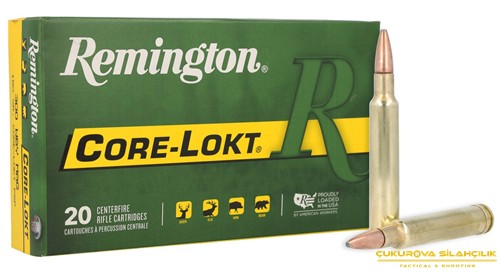 Remington 300 Wby. Mag. Psp. 180 Grn. 5261